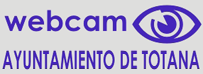 Web cam